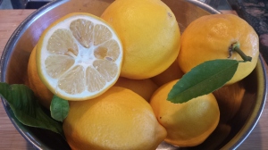 Preserved Lemons2